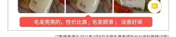 狗狗如何防止长白毛？营养饮食是关键