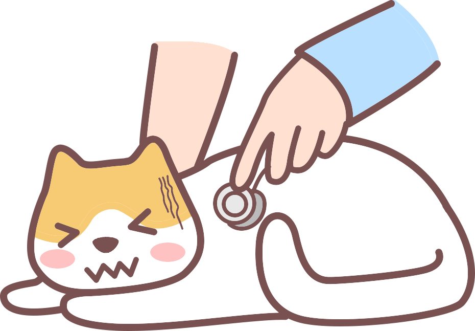 小猫换季拉稀的原因与应对方法