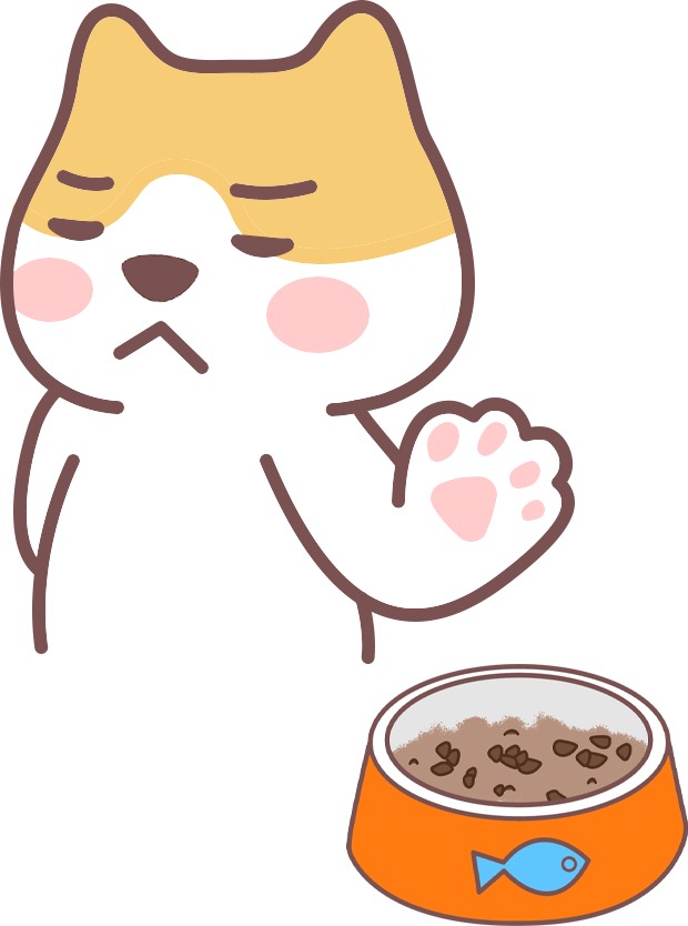 猫咪心情不好的5个表现及哄猫技巧