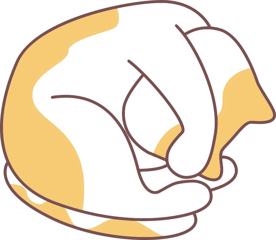 猫咪心情不好的5个表现及哄猫技巧