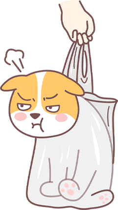 狗狗突然在家乱尿的原因及应对方法 狗狗突然在家乱尿的原因及应对方法