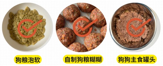 狗狗没有牙齿也能正常吃饭，选择合适狗粮很重要