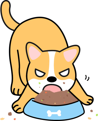 狗狗没有牙齿也能正常吃饭，选择合适狗粮很重要