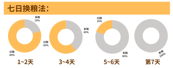 换粮必看!判断猫粮是否适合猫咪的5个关键指标 换粮必看!判断猫粮是否适合猫咪的5个关键指标