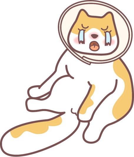 猫咪绝育后真的会emo吗？真相让人意外