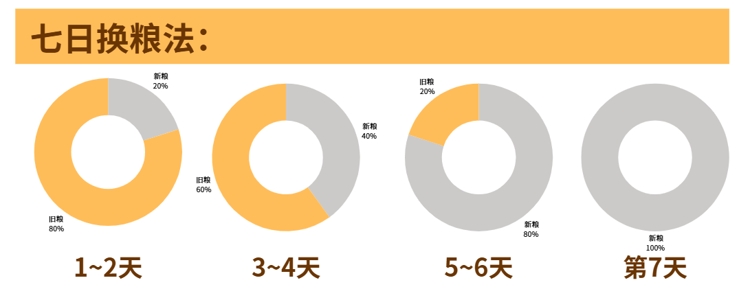 猫咪软便常见原因及调理方法