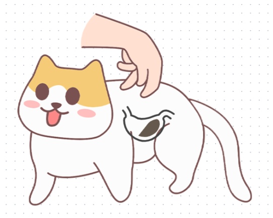 猫咪一天喂几顿更科学？不同阶段喂养指南