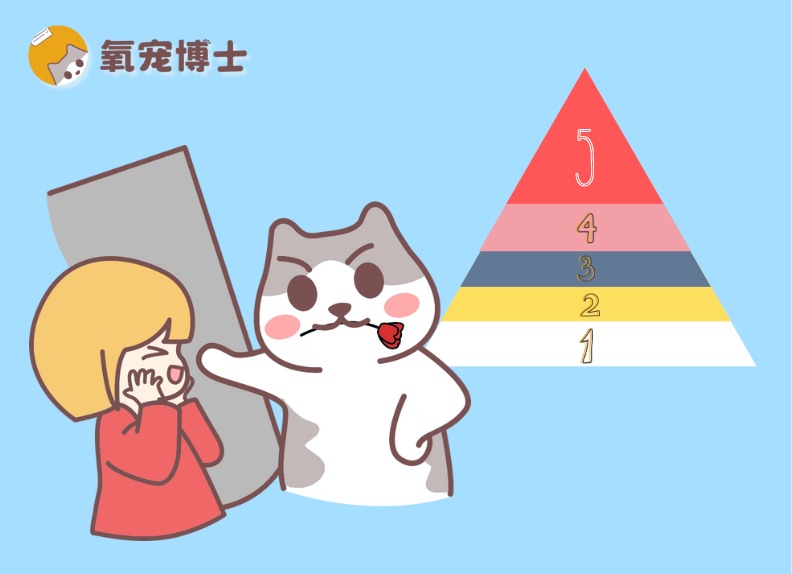 猫咪爱主人的5个等级，你家主子是哪一级？