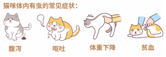 如何判断猫咪身上有没有虫? 如何判断猫咪身上有没有虫?