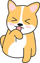 狗狗突然不愿出门?这些原因你可能忽略了 狗狗突然不愿出门?这些原因你可能忽略了