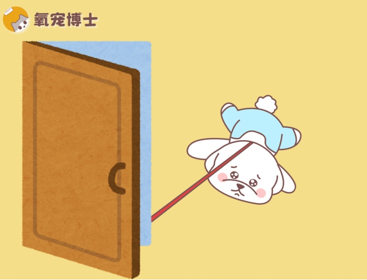 狗狗突然不愿出门?这些原因你可能忽略了 狗狗突然不愿出门?这些原因你可能忽略了