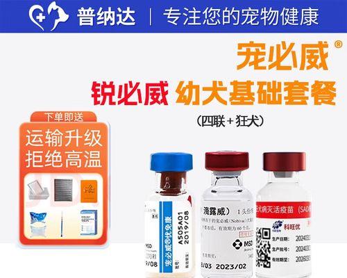 狗狗疫苗接种注意事项及健康保护指南