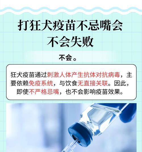 狗狗狂犬疫苗接种指南,守护宠物健康安全 狗狗狂犬疫苗接种指南,守护宠物健康安全