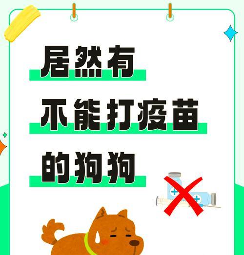 狗狗疫苗接种注意事项及健康保护指南