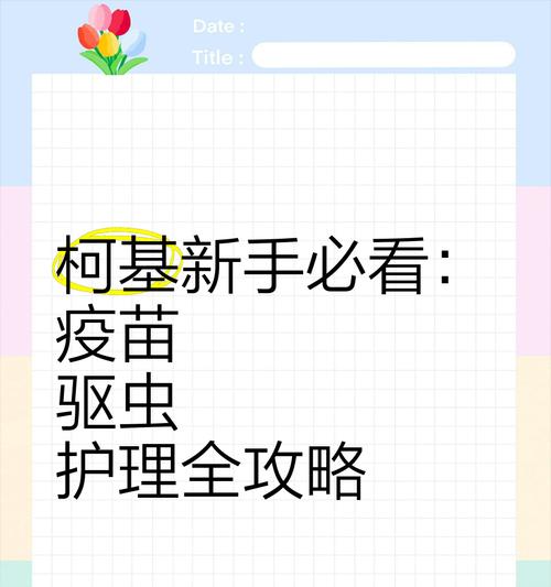 小狗驱虫与疫苗指南：守护健康的关键步骤
