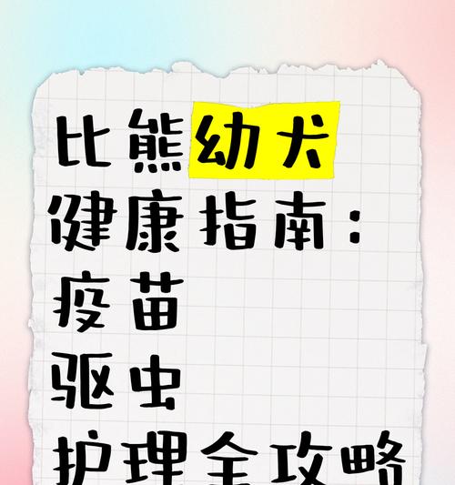小狗驱虫与疫苗指南：守护健康的关键步骤