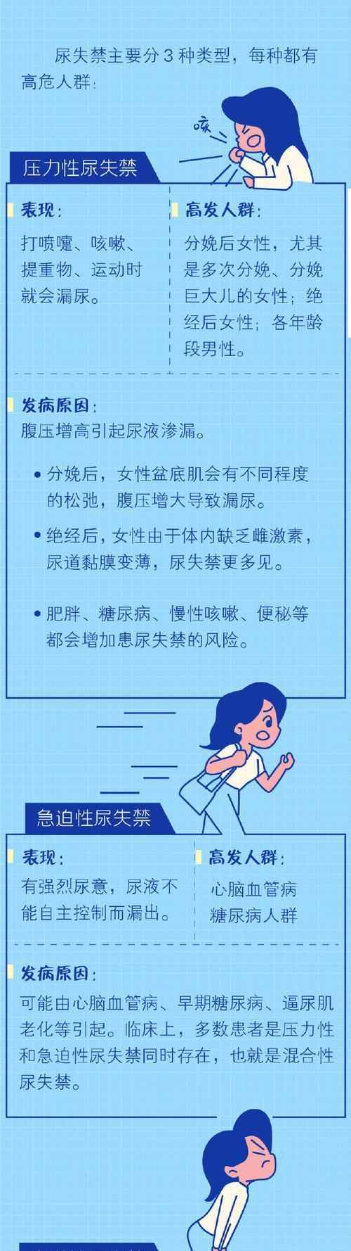 秋田犬不同阶段饲养全攻略:健康、训练与关怀 秋田犬不同阶段饲养全攻略:健康、训练与关怀