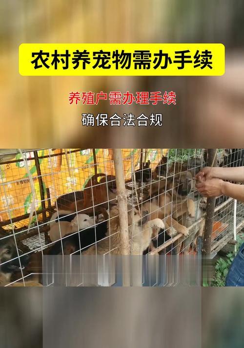 小区养狗必备手续详解,如何合法合规养狗 小区养狗必备手续详解,如何合法合规养狗