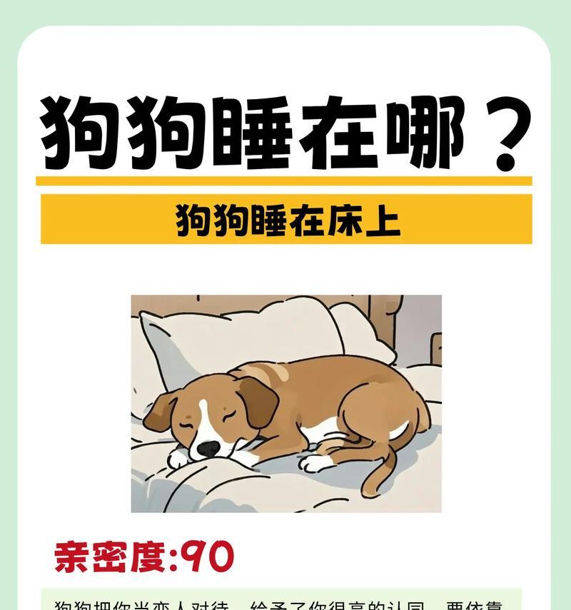 小狗睡眠需求与健康关系全解析