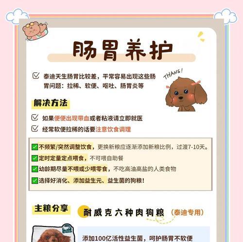 科学饲养泰迪幼犬的五大关键方法 科学饲养泰迪幼犬的五大关键方法