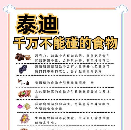 泰迪宝宝饮食禁忌清单及健康喂养指南