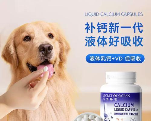 狗狗缺钙症状有哪些？科学补钙方法解析