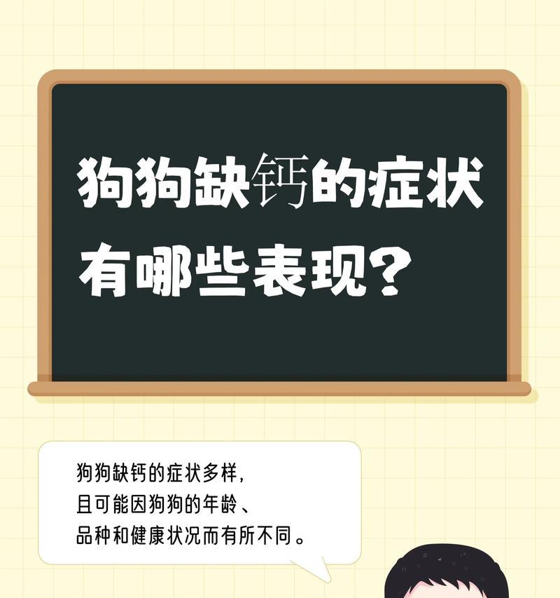 狗狗缺钙症状有哪些？科学补钙方法解析