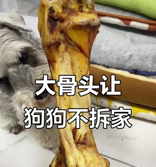 狗吃骨头的正确煮法与注意事项 狗吃骨头的正确煮法与注意事项