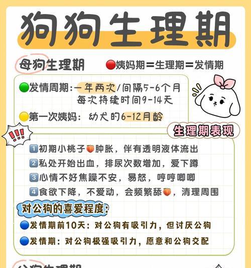 狗的生理周期与健康护理指南