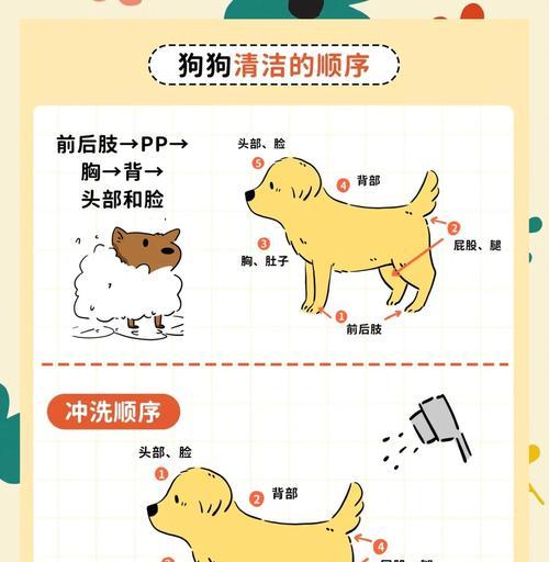 3个月大狗狗洗澡频率与健康影响指南 3个月大狗狗洗澡频率与健康影响指南