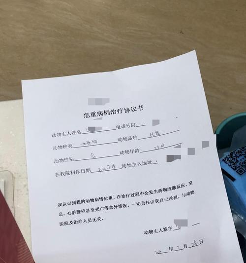 细小病毒对新狗的影响与再养注意事项 细小病毒对新狗的影响与再养注意事项