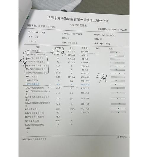 细小病毒对新狗的影响与再养注意事项 细小病毒对新狗的影响与再养注意事项
