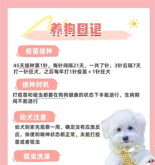 狗狗打完疫苗后洗澡注意事项