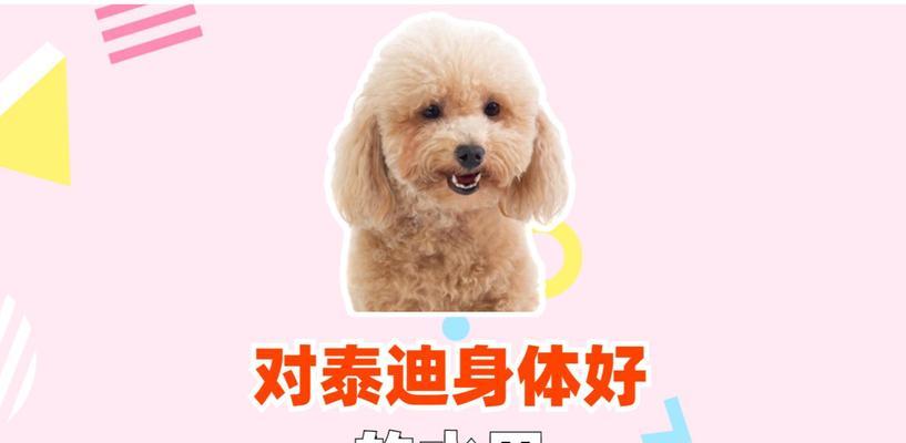 泰迪狗狗不能吃的水果有哪些？健康饮食指南