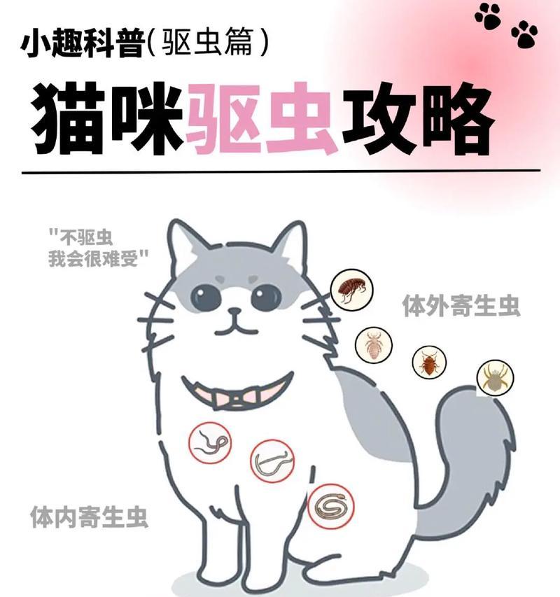 猫咪驱虫药正确使用方法与注意事项 猫咪驱虫药正确使用方法与注意事项