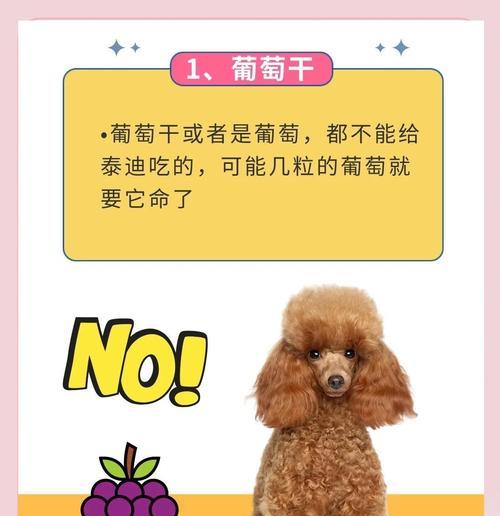 泰迪狗狗不能吃的水果有哪些？健康饮食指南