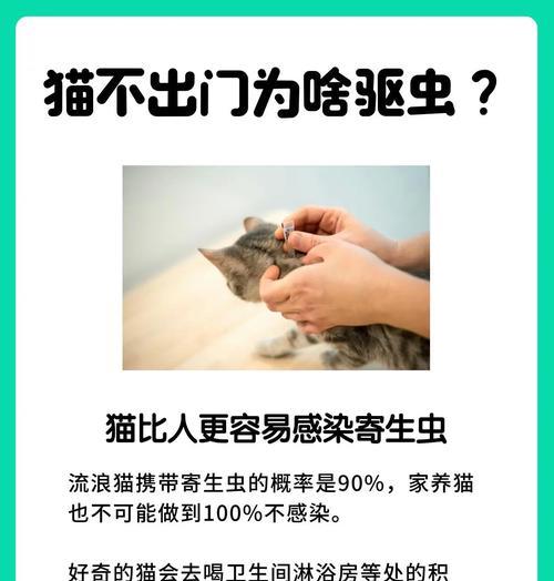 猫咪驱虫药正确使用方法与注意事项 猫咪驱虫药正确使用方法与注意事项