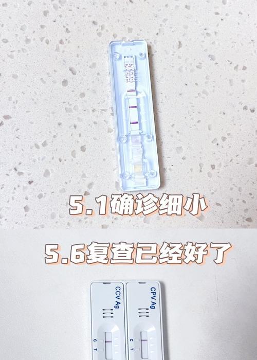 细小病毒潜伏期与预防全解析