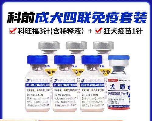 幼犬泰迪打疫苗后洗澡注意事项