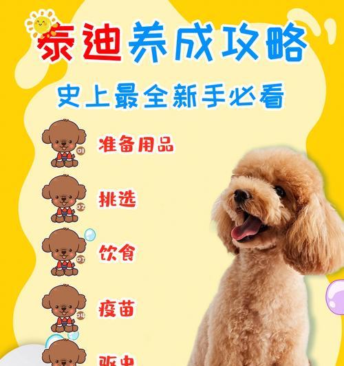 幼犬泰迪打疫苗后洗澡注意事项