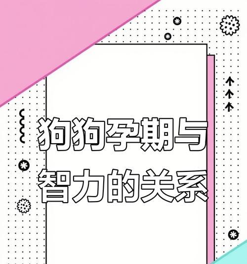 狗狗怀孕后恢复需要注意哪些关键点 狗狗怀孕后恢复需要注意哪些关键点