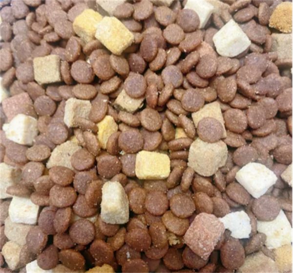 卫仕五拼冻干犬粮适合哪些狗狗？营养分析与适口性测评