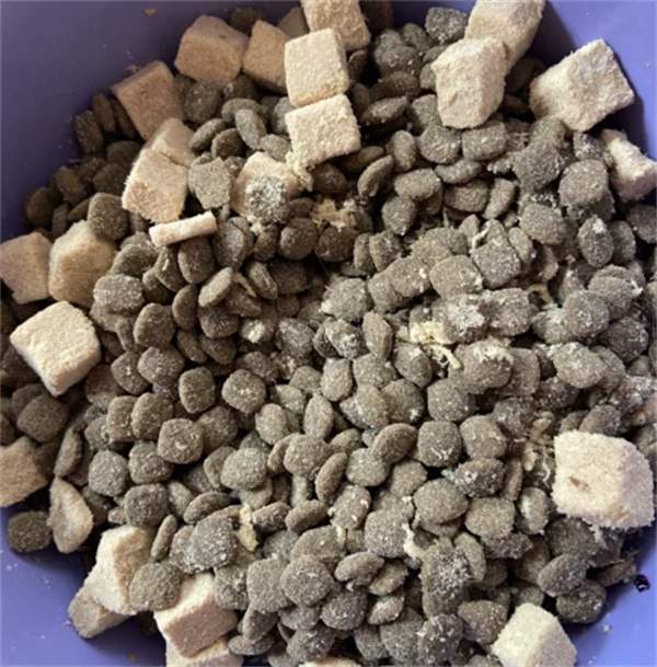 鸭肉梨狗粮测评:降火美毛效果佳,但需注意玉米小麦过敏 鸭肉梨狗粮测评:降火美毛效果佳,但需注意玉米小麦过敏