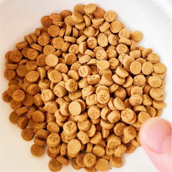 国产烘焙猫粮测评：鸡肉三文鱼配方是否值得喂养？