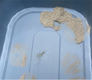 国产矿砂性价比高吗？奥丁海盐钠基猫砂使用测评