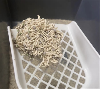 听宠猫砂测评:性价比高且使用体验佳的国产混合猫砂 听宠猫砂测评:性价比高且使用体验佳的国产混合猫砂