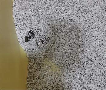 听宠猫砂测评:性价比高且使用体验佳的国产混合猫砂 听宠猫砂测评:性价比高且使用体验佳的国产混合猫砂