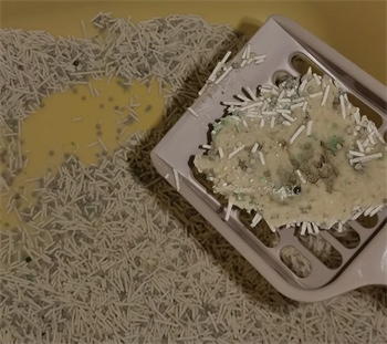 听宠猫砂测评:性价比高且使用体验佳的国产混合猫砂 听宠猫砂测评:性价比高且使用体验佳的国产混合猫砂