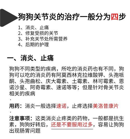 狗狗肚子响的原因及科学用药指南 狗狗肚子响的原因及科学用药指南
