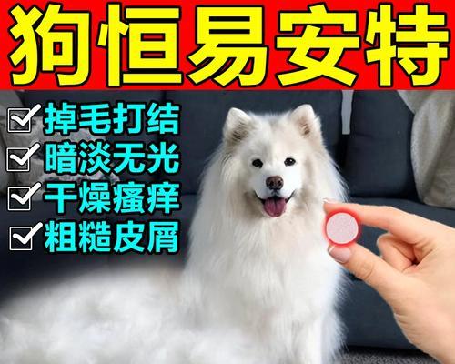 狗狗肚子响的原因及科学用药指南 狗狗肚子响的原因及科学用药指南